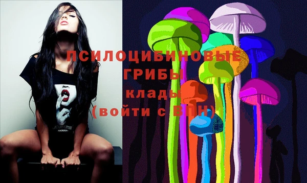 молекула духа Алексеевка