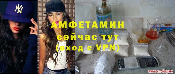 молекула духа Алексеевка