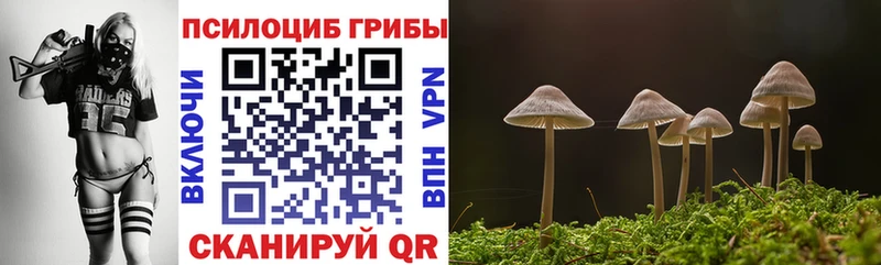 Галлюциногенные грибы ЛСД Вологда