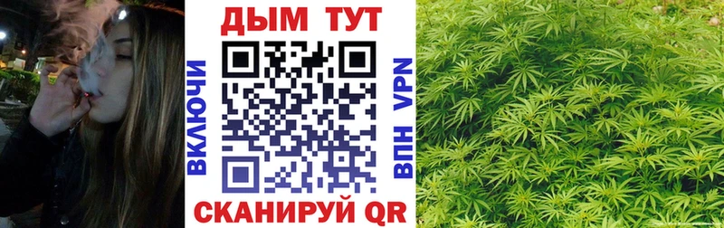 хочу   Вологда  Канабис MAZAR 