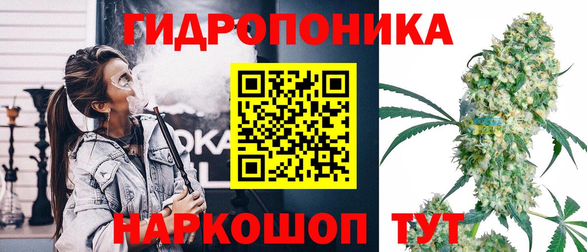 Каннабис SATIVA & INDICA Вологда